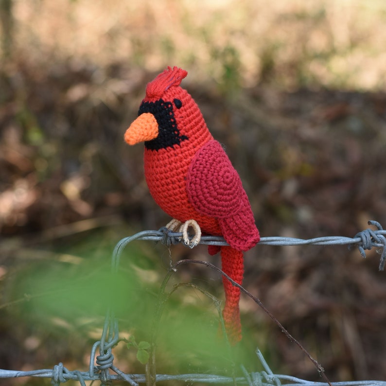 Amigurumi Budgie , Parakeet, Cockatiel Parrot, Cardinal Red Bird, Quaker Parrot Crochet Handmade Decorative Toy ,New Year bird lovers Cardinal Red