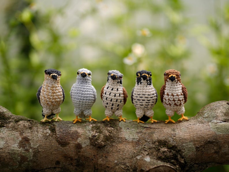 May include: Five small, handcrafted crochet birds standing in a row. Each bird features distinct yarn colors including shades of brown, gray, white, and black, with small yellow feet and dark eyes, showcasing intricate stitch patterns and textures.