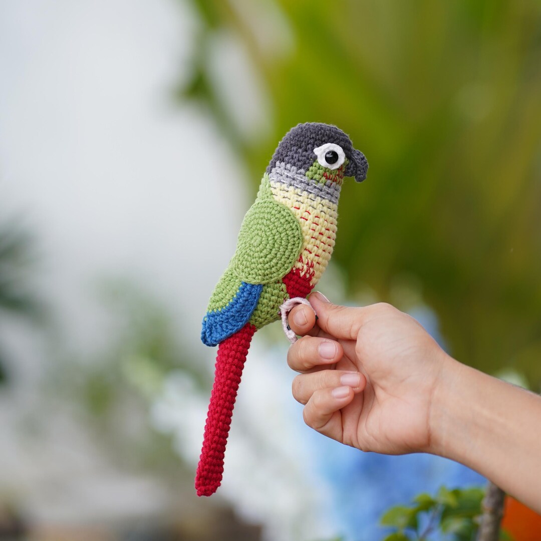 Green cheeked Parakeet Finished Toy Green Cheek Conure Amigurumi Bird green Cheek Conure Stuffed Crochet Gift Bird Lover Gift Etsy