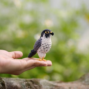 May include: A small, handcrafted crochet falcon figurine featuring a dark gray back and wings, a cream-colored chest with dark gray horizontal markings, a black head with a distinct facial pattern, yellow eyes, and small yellow feet.
