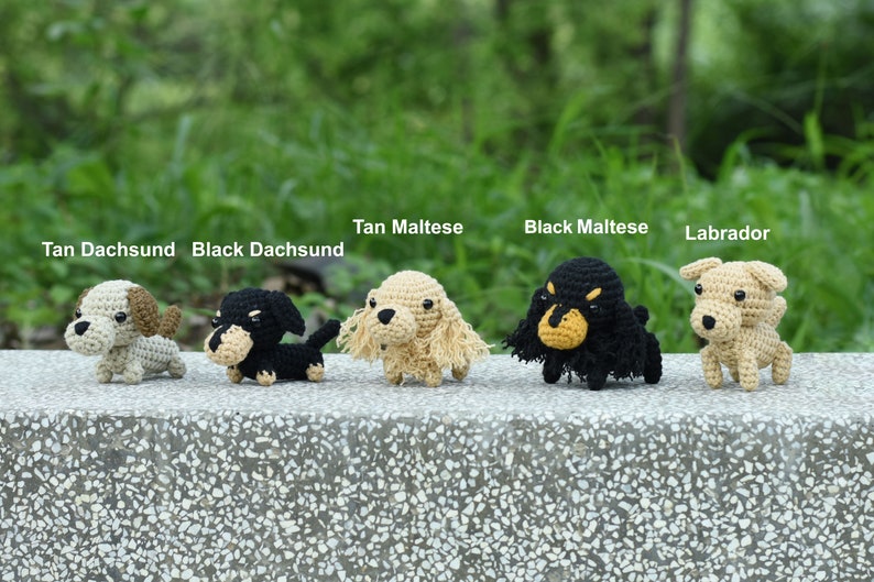 Petit chien au crochet Amigurumi, chien miniature, petit chiot, schnauzer miniature, chihuahua, teckel, shiba inu, beagle, corgi, carlin, labrador, husky image 3