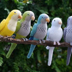 Crochet Quaker Parrot Amigurumi: Handmade Monk parakeet Bird Lover Gift