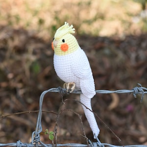 Amigurumi Budgie , Parakeet, Cockatiel Parrot, Cardinal Red Bird, Quaker Parrot Crochet Handmade Decorative Toy ,New Year bird lovers White Cockatiel