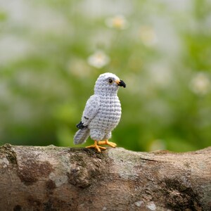 May include: A small, light gray crocheted bird figurine with a textured, yarn-stitched body. It features a black beak, dark eyes, and bright yellow feet. The bird is crafted with visible crochet stitches, showing a detailed, rounded shape.