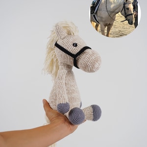 Cavallo amigurumi all'uncinetto personalizzato: regalo personalizzato per gli amanti dei cavalli