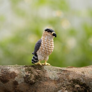 May include: A small crocheted bird figurine featuring a dark gray head, a tan and white speckled chest, and dark gray wings. The bird has a black beak, dark eyes, and yellow feet, standing upright with a detailed striped tail pattern.