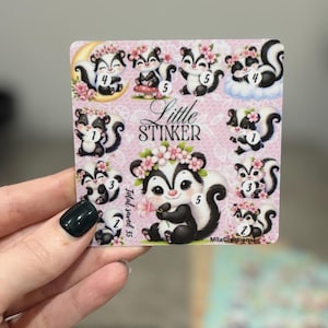 May include: A sticker sheet with multiple cartoon skunk illustrations, each wearing a floral crown. The skunks are black and white with pink details, and the text "Little Stinker" is visible. The sheet is held by a hand with a dark green nail.