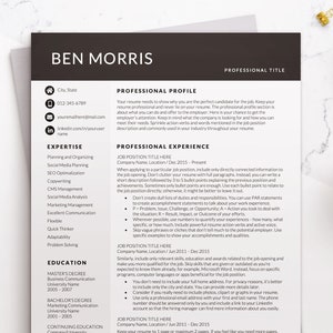 Modern Two Column Resume Template for Word Executive Resume Template Modern Two Column Resume Template for Word Executive Resume Template