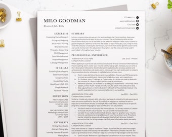 Minimal Clean Professional Resume Template for Word, Two Column Modern CV and Cover Letter Template, Cv Template UK, Easy to Use, Unique CV