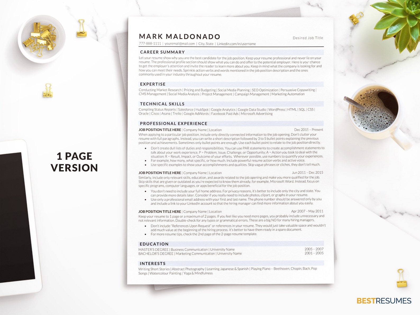 Executive ATS Friendly Resume Template for Word, Google Docs, Mac Pages ...