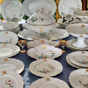 Servicio de cena botánico francés antiguo pintado a mano, decoración del hogar, regalo de boda