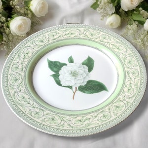 Apple Bee Royal Horticultural Society Set of 6 Camelia Dinner