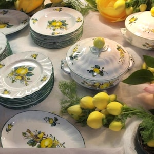 Villeroy En Boch Jamaica Servies, Huwelijkscadeau, Jubileumcadeau - Paastafel