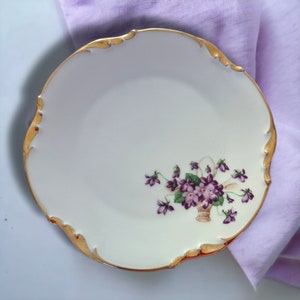 Antique French Limoges set of 10 dessert plates
