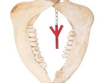 Twine Wrapped Elk Jawbone Algiz Rune Wind Chime