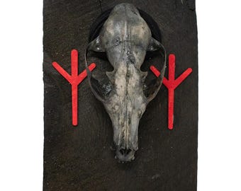 Algiz Rune Fox Skull Barn Wood Wall Hanging
