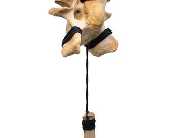 Cow & Elk Vertebra Wind Chime