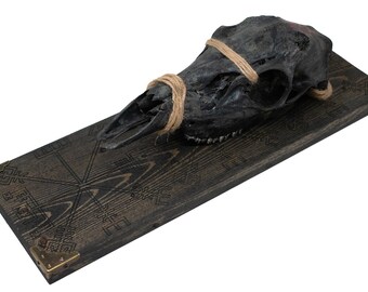 blackened deer skull vegvísir wall hanger