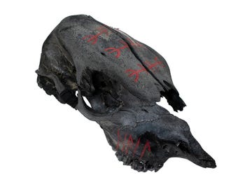 Blackened Calf Skull Protection Talisman