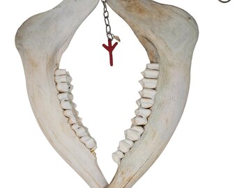 elk jawbone algiz wind chime
