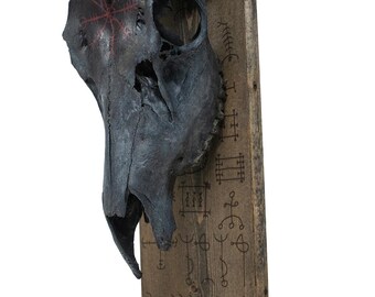 Blackened Elk Skull & Icelandic Magical Staves Altar
