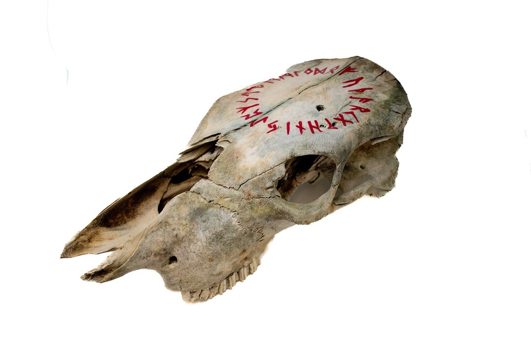 Runic Circle Cow Skull - Etsy