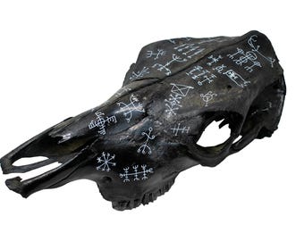 icelandic magical staves blackened cow skull