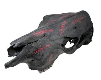 home protection bindrunes blackened cow skull