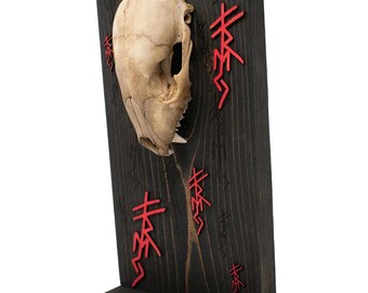 Raccoon Skull Freya Invocation Altar