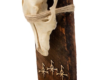 Barn Wood Coyote Skull Loki Altar