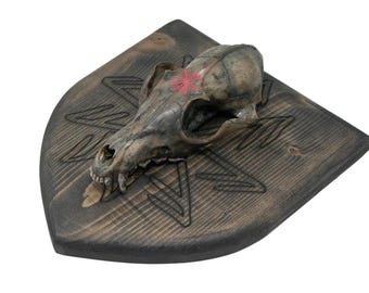 connection to the norse gods blackened coyote skull wall hanger