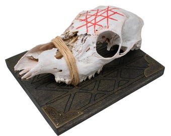 Web of Wyrd deer skull wall hanger