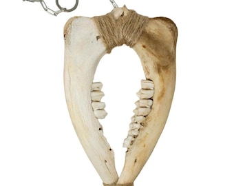 dzwonek wietrzny z kości szczękowej jelenia
