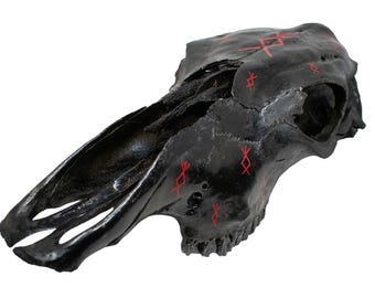 blackened cow skull home protection bindrunes