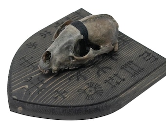 Blackened raccoon skull Icelandic magical staves wall hanger