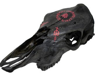blackened odin bindrune cow skull with valknut