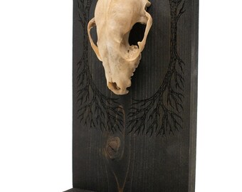 Raccoon Skull Yggdrasil & Berkano Altar
