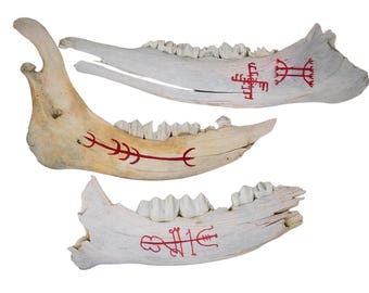 Painted Elk Jawbone Icelandic Magical Staves