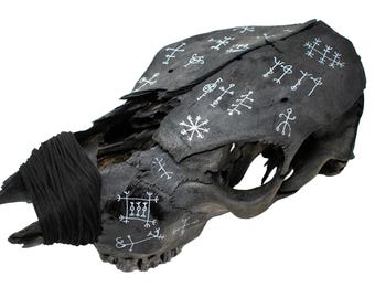 icelandic magical staves blackened cow skull - leather wrapped