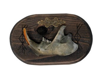 Beaver Jawbone Prosperity Bindrune Wall Hanger