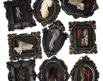 Oddities Bone & Foot Magnets