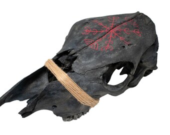 blackened cow skull with Veldismagn stave