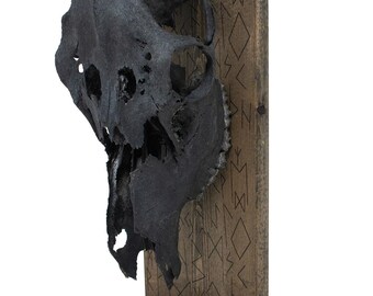 Blackened Elk Skull Elder Futhark Altar