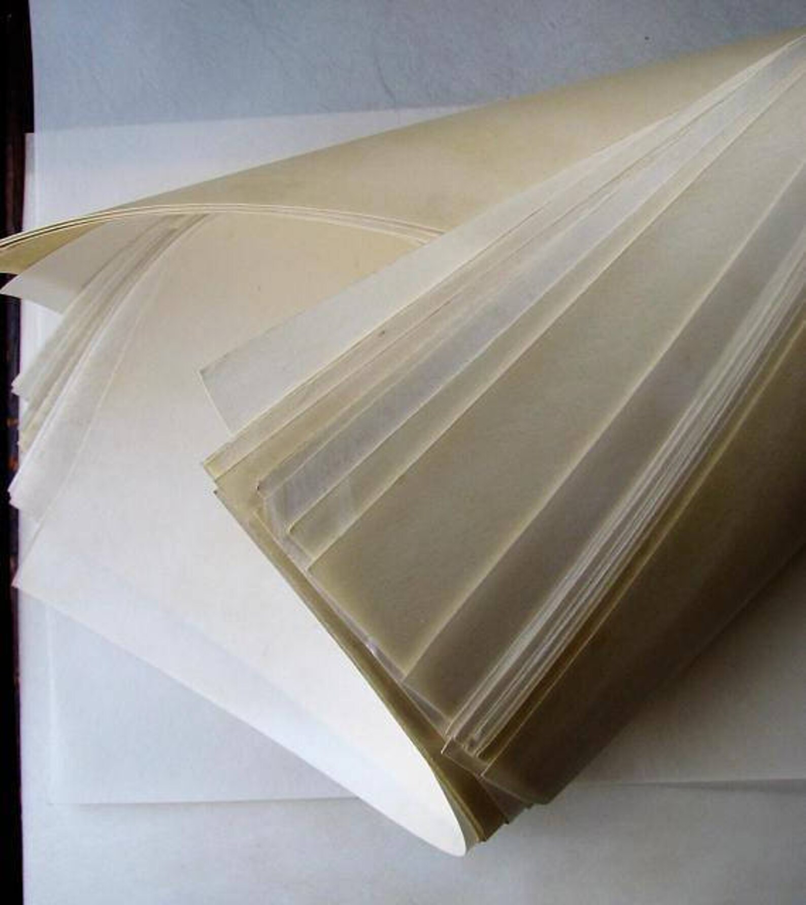 Genuine Parchment 16 Skins. Vellum. Leather. Vintage Circa Etsy