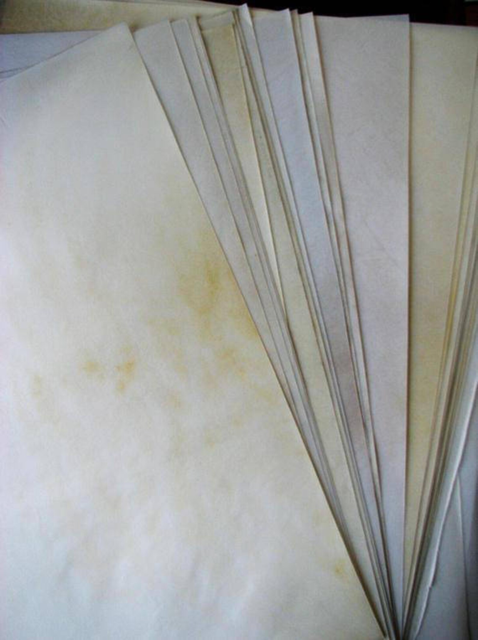 Genuine Parchment 16 Skins. Vellum. Leather. Vintage Circa Etsy
