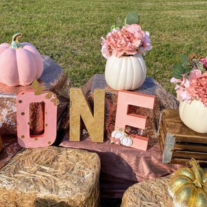 Little Pumpkin theme ONE letters