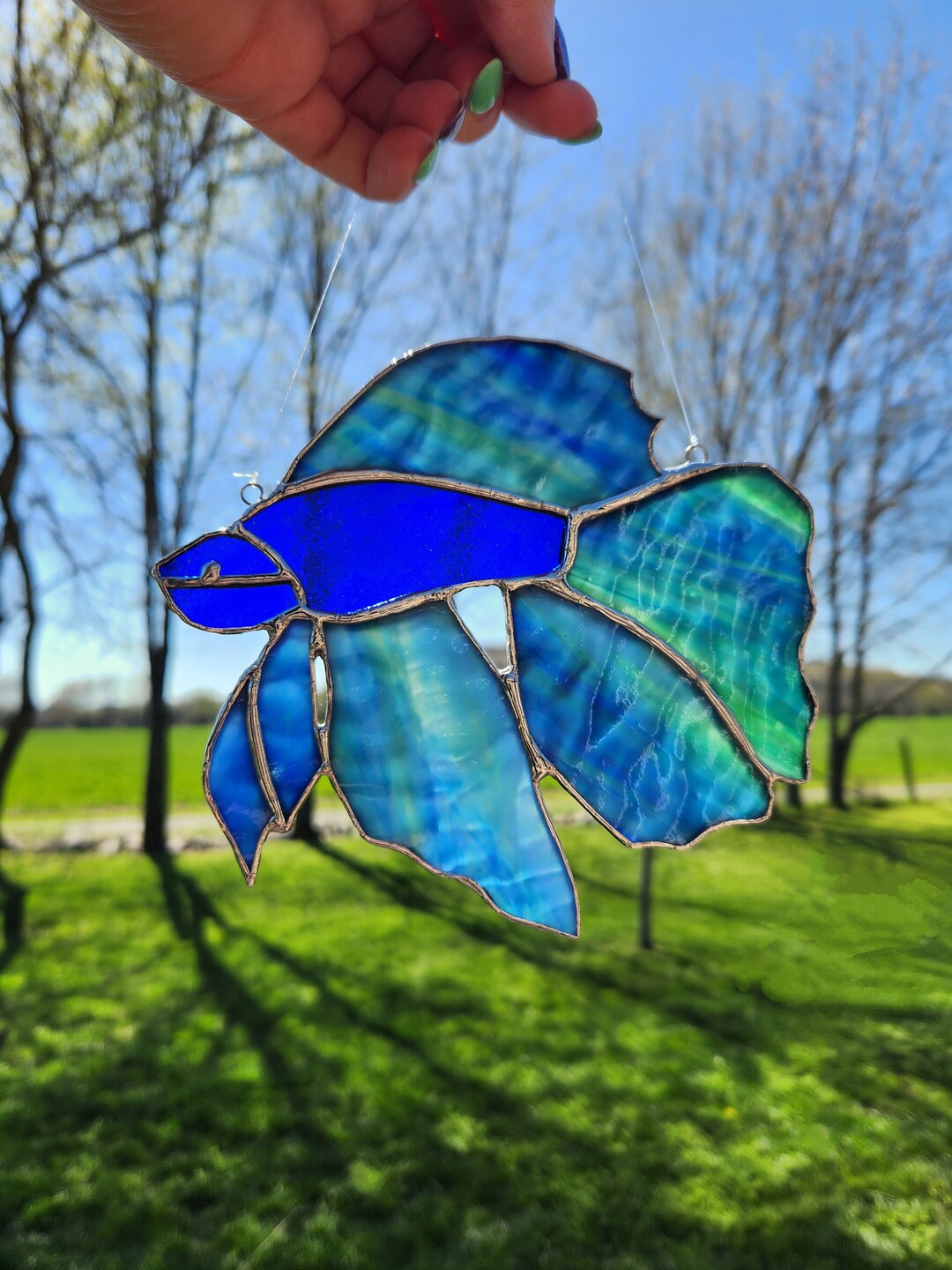 Blue Betta Fish Stained Glass Suncatcher Etsy