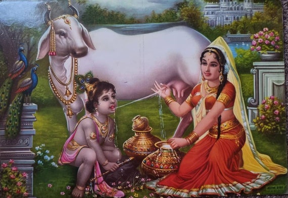 Hindu God Krishna Drinking Milk From Gau Mata - Etsy Finland Hindu God Krishna Drinking Milk From Gau Mata - Etsy Finland