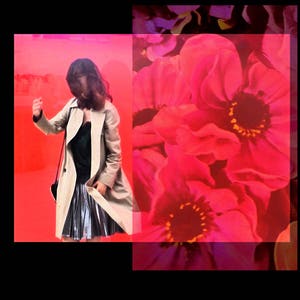 Women with red flower, Art Photography, Moody art, Photo Manipulation, Pop Art