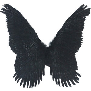 butterfly wings feather wings Cosplay Fairy Wings Halloween Costume Angel